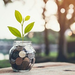 Plan growing out of a jar full of coins