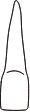 tooth 10