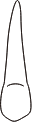 tooth 11