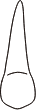 tooth 12