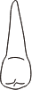 tooth 13