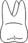 tooth 14