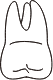 tooth 15