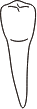tooth 20