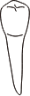tooth 21