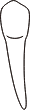 tooth 22