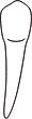 tooth 27