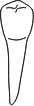 tooth 28