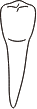 tooth 29