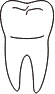 tooth 31