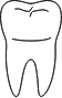 tooth 32