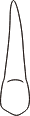 tooth 6