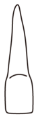 tooth 7