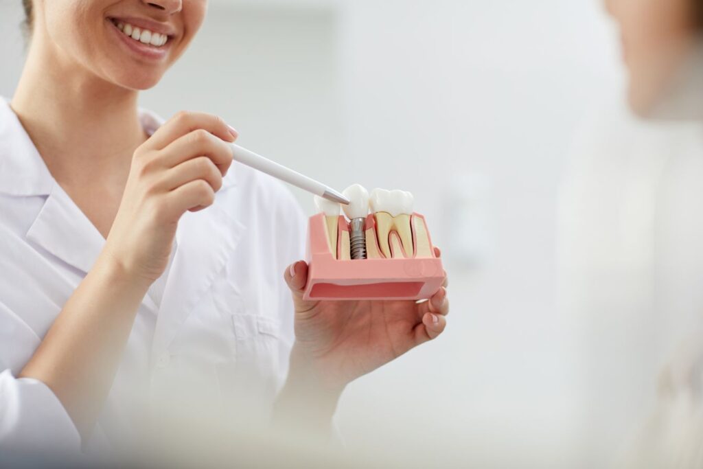 A dentist holding a model of a jaw with a dental implant